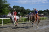 Immagine <b>REG_9277</b>